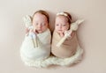 Newborn baby portrait Royalty Free Stock Photo