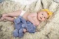 Newborn baby posing for her first portrait. Royalty Free Stock Photo
