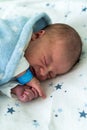 Newborn Baby Red Cute Face Portrait Early Days Sleeping In Medical Glass Bed On Blue Background. Child At Start Minutes Royalty Free Stock Photo