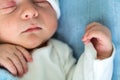 Newborn Baby Red Cute Face Portrait Early Days Sleeping In Medical Glass Bed On Blue Background. Child At Start Minutes Royalty Free Stock Photo
