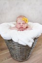 Newborn baby in a round wicker basket Royalty Free Stock Photo