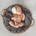 Newborn baby in a round wicker basket