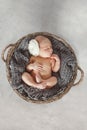 Newborn baby in a round wicker basket Royalty Free Stock Photo