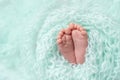 Newborn baby`s feet on a blue background, space for text Royalty Free Stock Photo