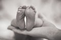 Newborn baby's feet in mother's hands Royalty Free Stock Photo