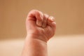 Newborn baby`s hand clenched into a fist