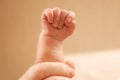 Newborn baby`s hand clenched into a fist Royalty Free Stock Photo