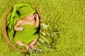 Newborn Baby Sleep, Beautiful Sleeping Infant Kid Boy, Green Royalty Free Stock Photo