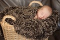 Newborn baby sleeping in basket Royalty Free Stock Photo