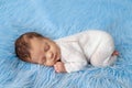 Newborn baby sleeping in a cocoon, top view Royalty Free Stock Photo