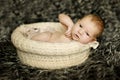 Newborn baby sleeping on fur in the basket Royalty Free Stock Photo