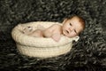 Newborn baby sleeping on fur in the basket Royalty Free Stock Photo