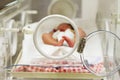 Newborn baby sleeping inside incubator