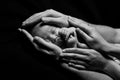 Newborn baby sleeping into parents hands.