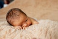 Newborn baby sleeping, resting on her own hands and elbows, on brown background Royalty Free Stock Photo