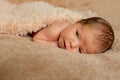 Newborn baby sleeping, resting on her own hands and elbows, on brown background Royalty Free Stock Photo