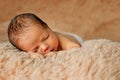 Newborn baby sleeping, resting on her own hands and elbows, on brown background Royalty Free Stock Photo