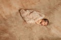 Newborn baby sleeping, resting on her own hands and elbows, on brown background Royalty Free Stock Photo