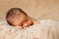 Newborn baby sleeping, resting on her own hands and elbows, on brown background Royalty Free Stock Photo