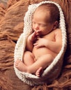 Newborn Baby Sleeping wrapped in knitted Blanket. Cute Child in Fetal Embryo position sucking Finger over brown Cotton Fabric Royalty Free Stock Photo