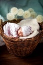 Newborn baby sleeps sweetly Royalty Free Stock Photo