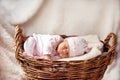 Newborn baby sleeps sweetly Royalty Free Stock Photo