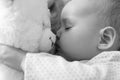 Newborn baby sleeps with a teddy bear black and white Royalty Free Stock Photo