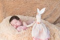 A newborn baby sleeps with a toy, a plush hare. My best friend the baby is sleeping with her teddy kidney on the bed. New family Royalty Free Stock Photo