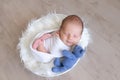 Newborn baby smiles in his sleep and sleeps sweetly in a cocoon diaper with a teddy bear toy, healthy baby sleep Royalty Free Stock Photo