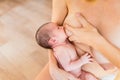 Newborn baby sucking breastfeeding from his mother`s breast Royalty Free Stock Photo