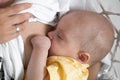 Newborn baby sucks mother`s breast. Breastfeeding concept Royalty Free Stock Photo