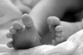 Newborn Baby Toes