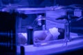 Newborn baby under ultraviolet lamp is getting treated for jaundice elevated bilirubin