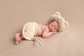 Newborn Baby Wearing a Lion Costume Royalty Free Stock Photo