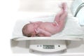 Newborn baby weight measurement. In the neonatal department in the hospital