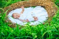 Newborn baby in wicker crib. Infertility treatment impacts on newborn baby health. Ecology and health. Health is a