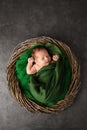 A newborn baby wrapped in a green cloth in a wicker basket Royalty Free Stock Photo