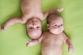 Newborn beautiful baby twins. Closeup portrait, caucasian child