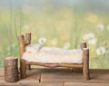 A newborn bed studio digital prop made from Japanese Maple tree branches with a dandelion green meadow nature background. Royalty Free Stock Photo