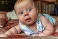 Newborn boy lies on his stomach on the bed and looking away. baby boy in the early days of home. Royalty Free Stock Photo