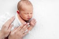 Newborn boy and mother hands Royalty Free Stock Photo