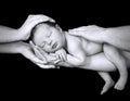 Newborn Caucasian baby boy sleeping with father and mother hands isolated on black background Royalty Free Stock Photo