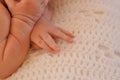 Newborn Baby`s Hand and Fingers Royalty Free Stock Photo