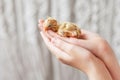 Newborn chicken, a freshly hatched chicken, raw chicken lying in the palm of hand. Hands of girl hold caring for a small chicken. Royalty Free Stock Photo