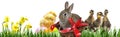Garden with cute easter rabbit Royalty Free Stock Photo
