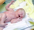 Newborn child seconds and minutes after birth. Royalty Free Stock Photo