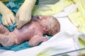 Newborn child seconds and minutes after birth. Royalty Free Stock Photo