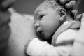 Newborn child seconds and minutes after birth. Baby being born via Caesarean Section. Doctor hands with new born girl Royalty Free Stock Photo