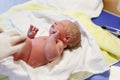 Newborn child seconds and minutes after birth. Check up Royalty Free Stock Photo