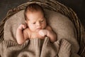 A newborn covered with a warm knitted blanket in a wicker basket Royalty Free Stock Photo